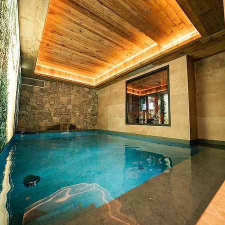 Chalet Le Vertuose *